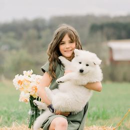 Berger Blanc Suisses from Edelweiss Berger Blanc Suisse