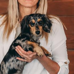Remi - Dachshund