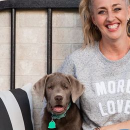 Dilute Retriever and Labrador Retriever Puppies from Hedge Lane Labradors