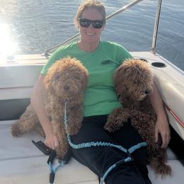 Goldendoodle and Golden Mountain Doodle All Grown Up from Howard Hills Doodles