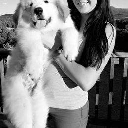 Great Pyrenees Puppies from Prospect Pyrenees