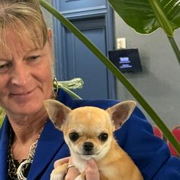 Chihuahuas from Hidden Valley