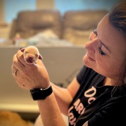 Golden Retriever Puppies from GameChanger Golden Retrievers