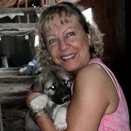 Anatolian Shepherd Dogs from Shepherds Rest Anatolians