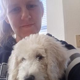 Poodle Puppies from Ramsey Therapy Dogs