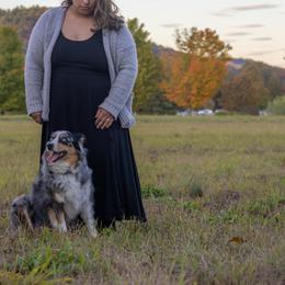 Genie - Blue merle female Australian Shepherd puppy in Bristol, New Hampshire from NewFound Lake Aussies