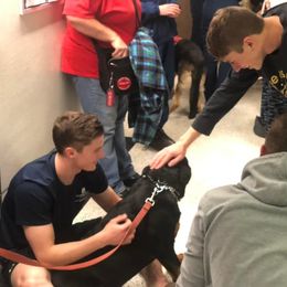 Rottweiler Puppies from Bronx Von Bridges Rottweilers