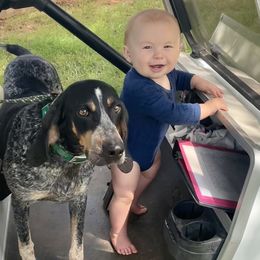 Olive oil - Bluetick Coonhound