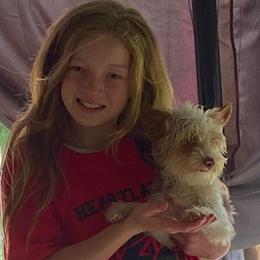 Chase AKC Full rights - Parti male Yorkshire Terrier puppy in Elizabethtown, Kentucky from Teeny Tiny Puppy Tails