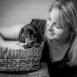 Dachshund Puppies from Phillian Family Mini Dachshunds