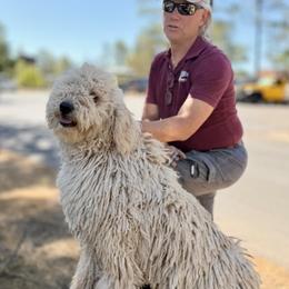 Minaret - White female Komondor puppy in Vernon, Arizona from Tatties Ranch