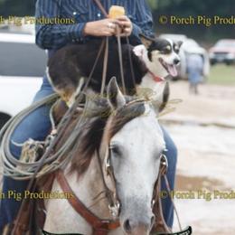 American Corgis and Pembroke Welsh Corgis from K Heart Ranchita