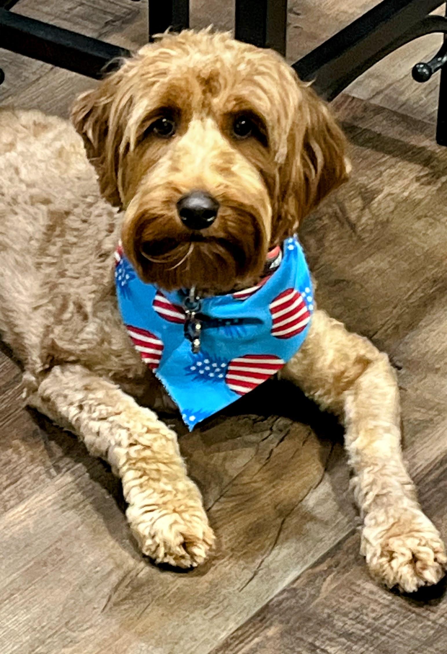 Kona