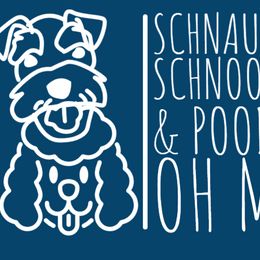 Miniature Schnauzers from Schnauzer,Schnoodles and Poodles Oh My!