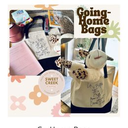 Assorted Doodle Crosses and Sheepadoodle Puppies from Sweet Creek Pups