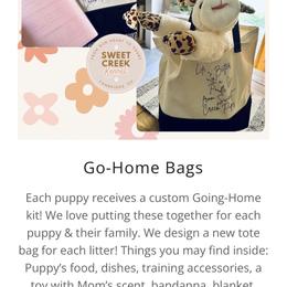 Assorted Doodle Crosses and Sheepadoodle Puppies from Sweet Creek Pups