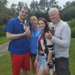 Boston Terrier Puppies from I Love Pups