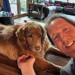 Nova Scotia Duck Tolling Retriever Puppies from Chimay Kennels