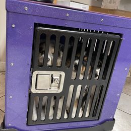 "Vet checks!" Australian Shepherd Puppies from Mezzo Australian Shepherds