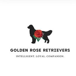 Goldendoodles and Golden Retrievers from Golden Rose Retrievers and Doodles