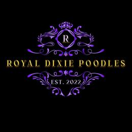 Poodle Puppies from Royal Dixie Poodles