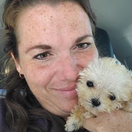 Poodle Puppies from Caboodles Of Poodles