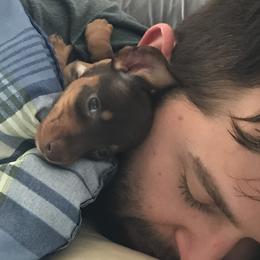Dachshund Puppies from Honey Creek Doxies