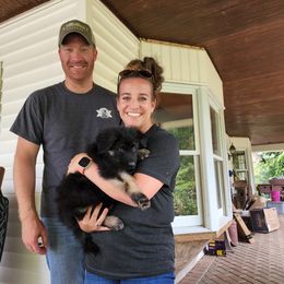 German Shepherd Puppies from Von Hoene Heritage Shepherds