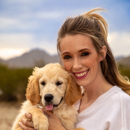Golden Retriever Puppies from Top Gun Golden Retrievers