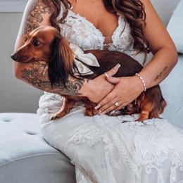 Moana Lynn - Dachshund