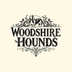 Basset Hound puppies from Woodshire Hounds