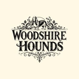 Basset Hound puppies from Woodshire Hounds