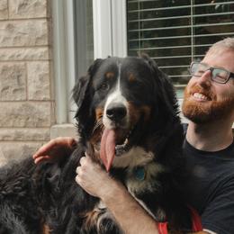 Bernedoodle, Bernese Mountain Dog, and Goldendoodle All Grown Up from Bernedoodles of the Ozarks