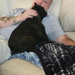 Companion Cross All Grown Up from Lady Liberty Frenchtons
