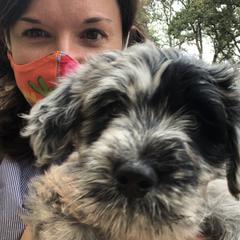 Bergamasco Sheepdog Puppies from Spellbound Bergamascos