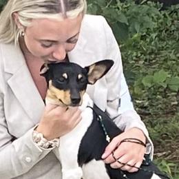 Akita and Rat Terriers from Majestic Valley Farms