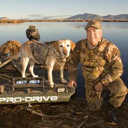 Labrador Retriever All Grown Up from South Wind Labradors