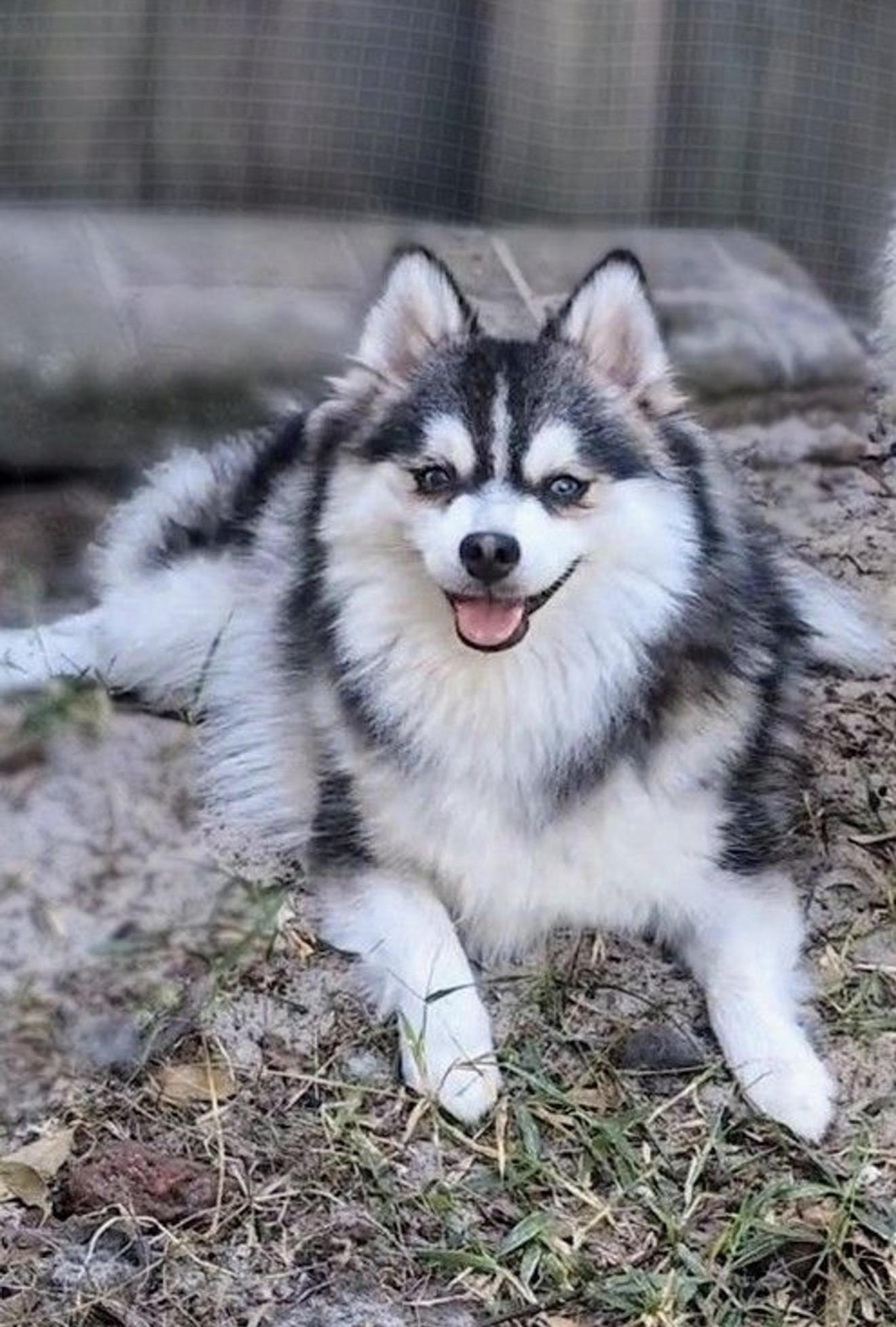 Tater