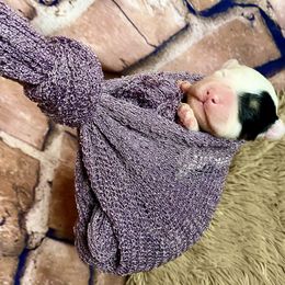 Bernedoodle and Cavapoo Puppies from Sugar Doodles Pups