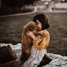 Aussiedoodle and Bernedoodle Puppies from High Desert Doodles