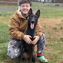 Belgian Malinois All Grown Up from E-Quality Kennels