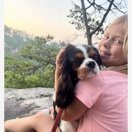 Cavalier King Charles Spaniel Puppies from Mapleview Cavalier King Charles Spaniels