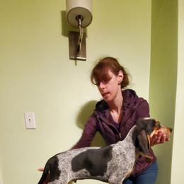 American English Coonhound Puppies from Passchendaele English Coonhounds