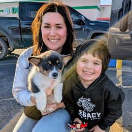 Charlie - Blue male Pembroke Welsh Corgi puppy in Shawnee, Oklahoma from Sunray Ranch
