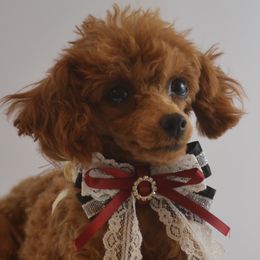 Siena - Poodle