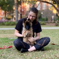 Belgian Tervuren Puppies from Kanna Belgian Tervuren