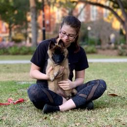 Belgian Tervuren Puppies from Kanna Belgian Tervuren