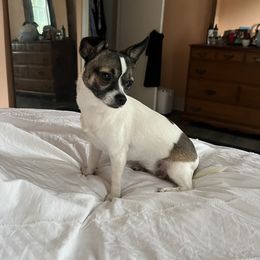 Sierra - Chihuahua