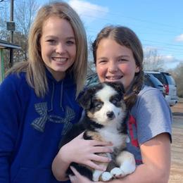 Miniature Australian Shepherd Puppies from Sassy Lil Aussies