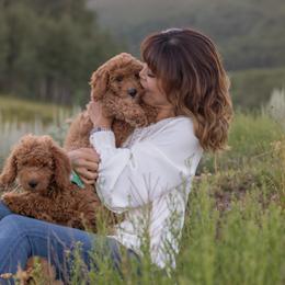 Goldendoodle Puppies from Sunnydoodle Utah